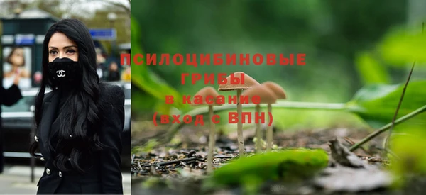твердый Абинск