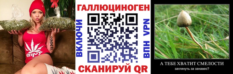 Галлюциногенные грибы мицелий  купить наркотик  Когалым 